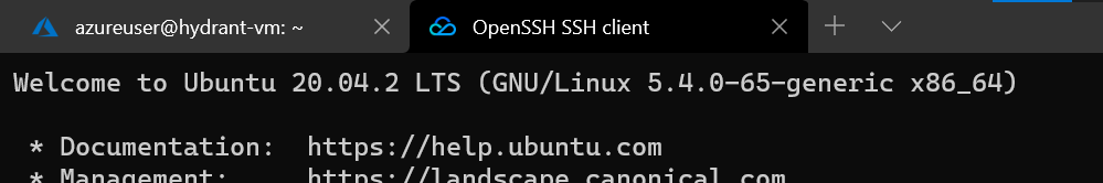 "ssh 标题上显示正在执行的命令"